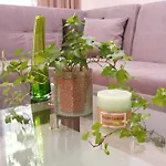Art House Хотел Пловдив