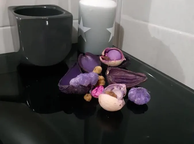 Art House * 플로브디프