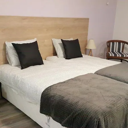 Hotell Art House *