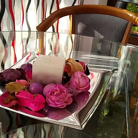 Art House Hotel